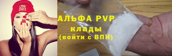 шишки Алексин