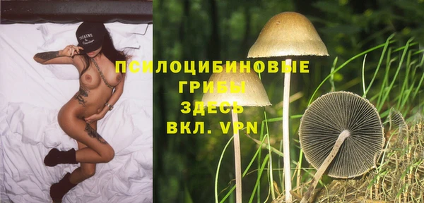 шишки Алексин