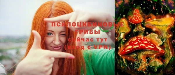 шишки Алексин