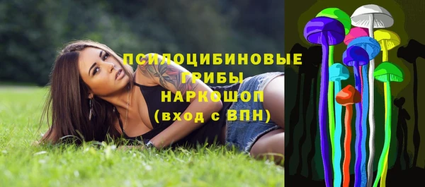 таблы Алзамай